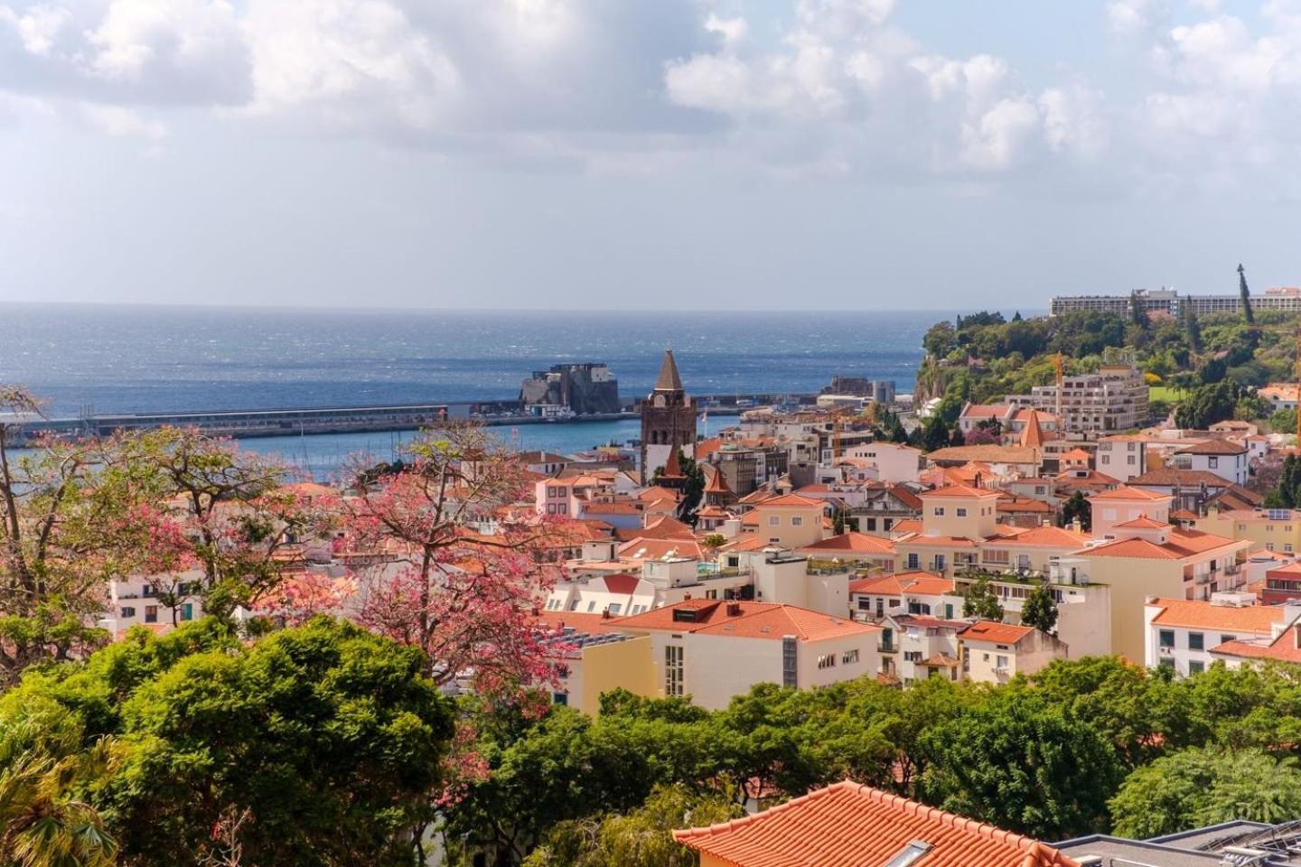 Varandas Funchal-Near Center Leilighet Eksteriør bilde